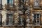 Windows behind tree branches on a winter day