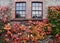 Windows, Brick Wall And Coloured Leaves