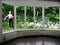 Windows overlooking the garden with watering girl