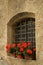 Windows with red flowers in the centre of Brixen/Bressanone. Bolzano. Italy.
