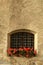 Windows with red flowers in the centre of Brixen/Bressanone. Bolzano. Italy.