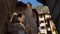 Windows of stone houses in Limone