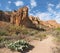 Windows Trail in the Chisos Basin, Big Bend