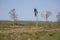 Windpump on the Somerset Levels