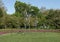 Windsculptures and flower beds, Dallas Arboretum and Botanical Garden