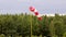 windsock hangs without wind on pole at airport, windy weather. gray-blue rainy sky with thick clouds over airfield with