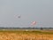 A windsock and a plane taking off