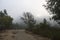 Windsor, California - RiverFront Regional Park morning after rain lake, Russian River