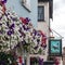 WINDSOR, MAIDENHEAD & WINDSOR/UK - JULY 22 : Hanging baskets lad