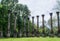 Windsor Ruins near Port Gibson, Mississippi