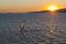 Windsurfer against the setting sun in Gelendzhik Bay