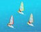 Windsurfer on a board for windsurfing. Creative vacation concept. Water Sports. Windsurfing, Fun in the ocean, Extreme