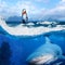Windsurfer in ocean and wild shark underwater