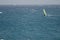 Windsurfer sailing in the sea.