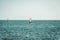 Windsurfer Surfing The Wind On Waves Recreational Water Sports, Extreme Sport Action. Recreational Sporting Activity. Healthy