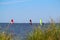 Windsurfers behind reed at the Ringkobing Fjord in Denmark