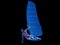 A windsurfers muscle anatomy