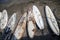 Windsurfing boards on the beach.