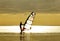 Windsurfing in the rays of the setting sun. Silhouette of a man on a golden background