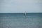 Windsurfing. Surfer exercising in calm sea or ocean