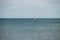 Windsurfing. Surfer exercising in calm sea or ocean