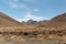 Windswept plains of Lindis Pass