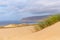 Windswept Tranquility: Grass and Dunes at Guincho Beach, Cabo da Roca