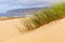 Windswept Tranquility: Grass and Dunes at Guincho Beach, Cabo da Roca