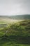 A windswept tree bent by the constant wind over the years in Fairy Glen, Isle of Skye in cloudy weather