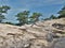 Windswept Trees on top of Hanging Rock