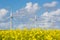 Windturbines behind a yellow coleseed field