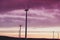 Windturbines at sunset