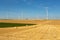 Windturbines in a yellow and green farmland landscape