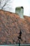 Windvane with hunter and dog opposite the traditional tile roof somewhere in Netherlands