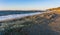 Windy Alki Beach