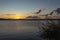 During a windy autumn morning with waving reed plumes and geese bobbing in the water of lake Zoetermeerse Plas, the sun is just ri