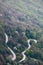 Windy, curvy small road through spring forest in Slovenian, Europe