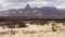 Windy day at the desert of Southern Arizona, in the background the Baboquibare mountain