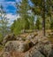 Windy day on lake Vuoksa in the Leningrad region. Priozersky di