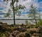 Windy day on lake Vuoksa in the Leningrad region. Priozersky di