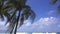 Windy Hawaii Coast With Palm Trees