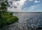 Windy landscape with a swamp lake, the lake water ripples and trees move in strong winds