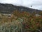 Windy Patagonia landscapes Argentina