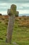 Windy Post, Dartmoor, Devon.