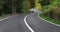 Windy road in the forest