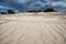 Windy sand texture on dune