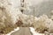 Windy snowy foggy slippery muddy flat step himalayan mountain road in winter. Leh Manali Highway, Jammu and Kashmir, India, Asia