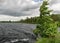 Windy summer landscape from swamp lake, wind and turbulence of lake water, lake shore, trees in wind, swamp lake