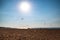 Windy west coast of Rhodes island with paraglides on sea