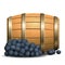 Wine barrel and grapevine on white background